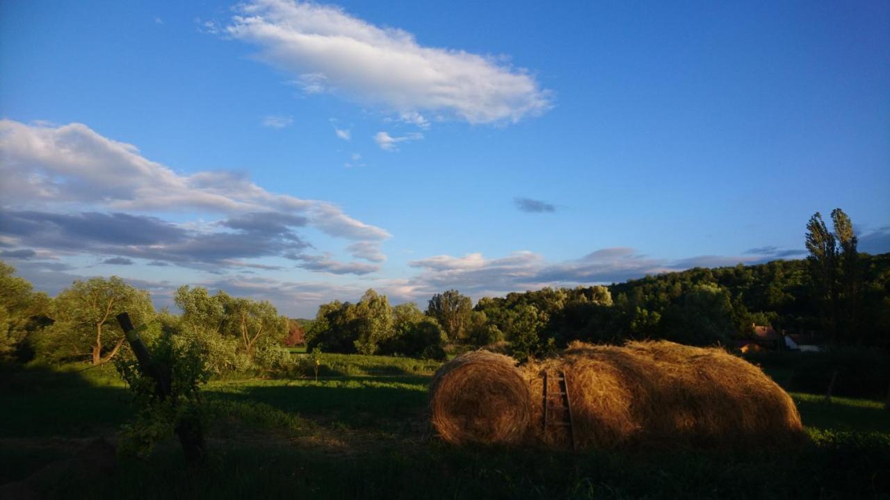 Szellosreti Vendeglak Balvanyos ภายนอก รูปภาพ